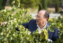 CARLOS MORO ADQUIERE UNA BODEGA EN LA D.O. RIBEIRO