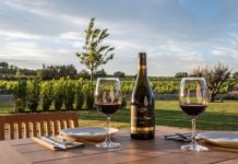 EL CELLERET ES EL NUEVO ESPACIO ENOGASTRONÓMICO DE FAMILIA TORRES