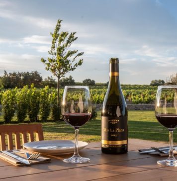 EL CELLERET ES EL NUEVO ESPACIO ENOGASTRONÓMICO DE FAMILIA TORRES