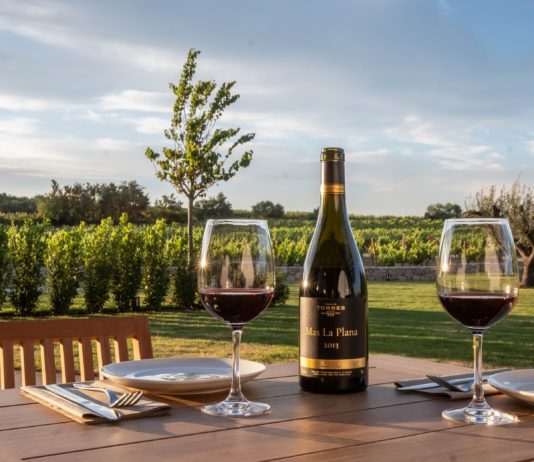 EL CELLERET ES EL NUEVO ESPACIO ENOGASTRONÓMICO DE FAMILIA TORRES