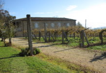 D.O. RÍAS BAIXAS ESTIMA UNA COSECHA DE 36,6 MILLONES DE KILOS DE UVA