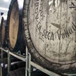 Cuatro Rayas 61 Dorado