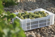 CUATRO RAYAS CUARENTA VENDIMIAS CUVÉE TRIUNFA EN LA BERLINER WEIN