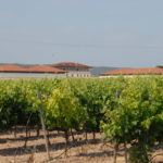 Rioja Vega
