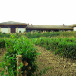 BODEGA ONDARRE FRONTAL