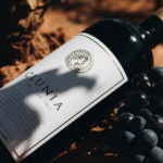 Clunia (31)