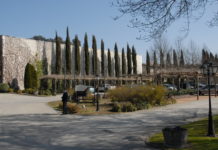 VIÑAS DEL VERO CHARDONNAY MEJOR VINO BLANCO JOVEN DEL AÑO