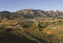 VINOTECA SOLWINES XIV