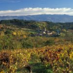 PITTACUM