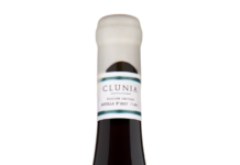 CLUNIA PINOT NOIR: NUEVO VINO DE ALTURA