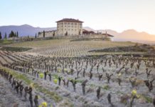 DEPORTE Y ENOTURISMO EN BODEGA HACIENDA LÓPEZ DE HARO