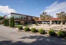 VINOTECA SOLWINES XI