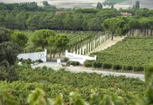 FINCA VILLACRECES 25 AÑOS NUEVO VINO Y BODAS DE PLATA DE LA BODEGA