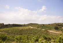 ORBEN MEJOR VINO ESPAÑOL POR WINE SPECTATOR