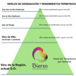 Bierzo y su nueva clasificación de viñedos