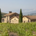 Masaveu, BODEGA MURUA R