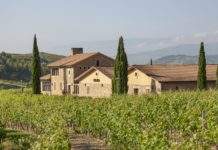 BODEGAS MURUA PREMIO BEST OF 2020 RIOJA EN ARTE Y CULTURA