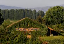 MIGUEL TORRES CHILE CELEBRA SUS 40 AÑOS