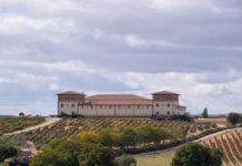 PAGOS DE ANGUIX, LA NUEVA BODEGA DE JUVÉ&CAMPS EN LA RIBERA DEL DUERO