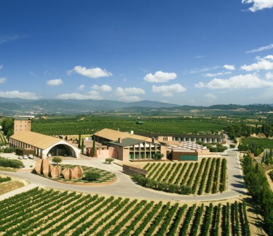 VINOTECA SOLWINES XV