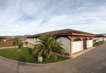 VINOTECA SOLWINES XVIII