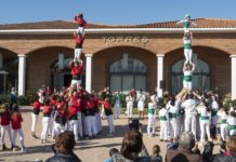 LA FUNDACIÓN FAMILIA TORRES DESTINA UNA CIFRA RECORD A LA MARATÓ TV3