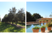 AUBOCASSA: UN DESTINO PARA RELAJARSE