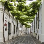 Bodega, Gonzalez Byass, Jerez, Cdiz, calles emparradas,