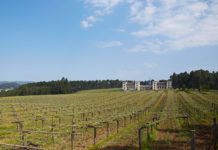 EXCELENTES PUNTUACIONES DE LOS VINOS DE RÍAS BAIXAS EN LOS PREMIOS BACO 2019