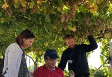 LA VAL PRESENTA SU VENDIMIA SOLIDARIA 2019