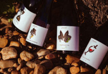 NUEVA AÑADA DE V MALCORTA