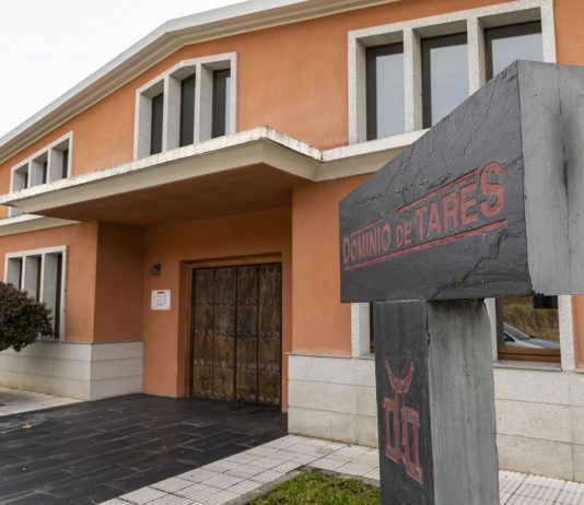 BOD. DOMINIO DE TARES D.O. BIERZO