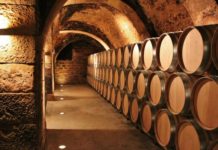 BORSAO SELECCIÓN 2019 MEDALLA DE PLATA EN DECANTER