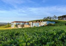 GRANBAZÁN ETIQUETA VERDE 2019 Y FINCA MONCLOA 2017