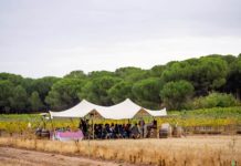 CAMPUS BIODINÁMICO EN BODEGAS CRUZ DE ALBA