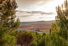 PAGOS DE ARAIZ, D.O. NAVARRA WINERIES FOR CLIMATE PROTECTION