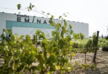 BODEGA EMINA RUEDA, D.O. RUEDA