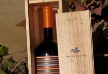 PROPUESTA SOLWINE DE NAVIDAD: VILOSELL 2019, D.O. COSTERS DEL SEGRE