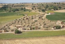 TIM ATKIN ANALIZA LAS VIÑAS VIEJAS DE SORIA