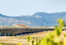 BERONIA RIOJA UN EJEMPLO EMPRESARIAL