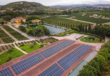 IWCA PUBLICA SU INFORME ANUAL