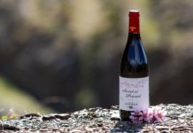 SECRET DEL PRIORAT 2019 ENTRE LOS GRANDES VINOS 2022