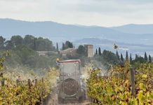 JEAN LEON REDUCE EL USO DEL COBRE EN EL VIÑEDO