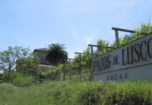 LUSCO 2021, D.O. RÍAS BAIXAS