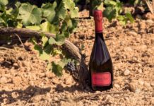 TRES VINOS DE BODEGAS HISPANOS SUIZAS GALARDONADOS POR LA AEPEV