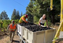 LA LOCA VENDIMIA 2022 EN MARIMAR ESTATE