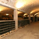 CELLER CAVA (002)