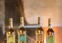 COLECCIÓN TÍO PEPE FINOS PALMA 2022