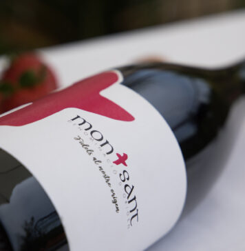 D.O. MONTSANT, II PARTE: OROGRAFÍA, SUELO Y CLIMA QUE LA DEFINEN