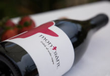 D.O. MONTSANT Iº PARTE